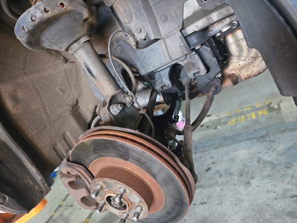 WhatsApp Image 2026-02-26 at 19.39.32